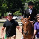 Therapeutic Horseback Riding lessons