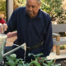 Garfield Gibson Jr at Quentin Mease Horticultural Therapy Garden